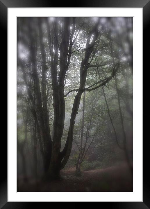 Misty Autumn Morning Framed Mounted Print by Michelle Orai