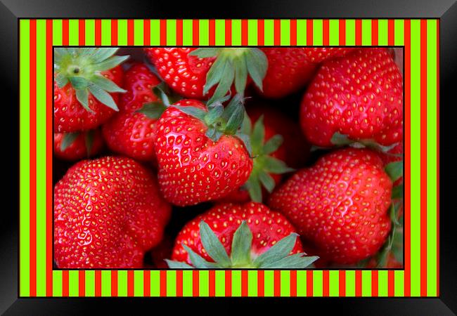 Candy Striped Strawberries Framed Print by Michelle Orai