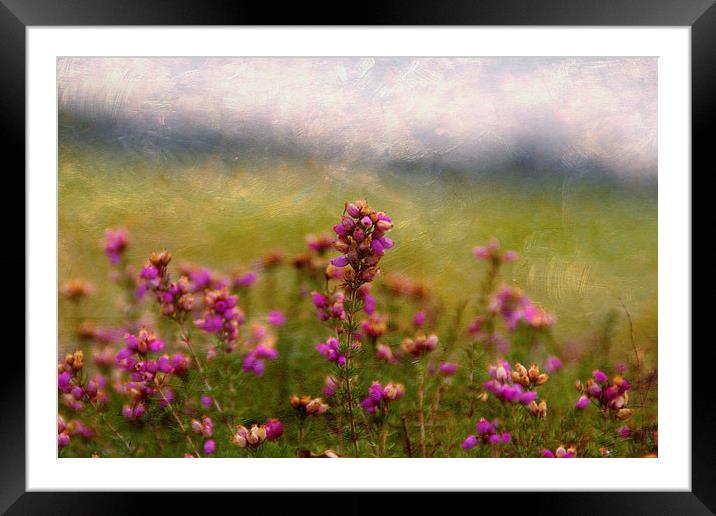Autumn Heather Framed Mounted Print by Michelle Orai
