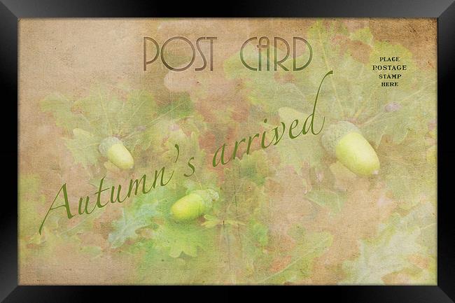 Autumn Postcard Framed Print by Michelle Orai