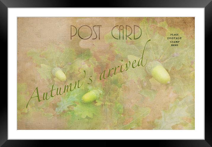 Autumn Postcard Framed Mounted Print by Michelle Orai