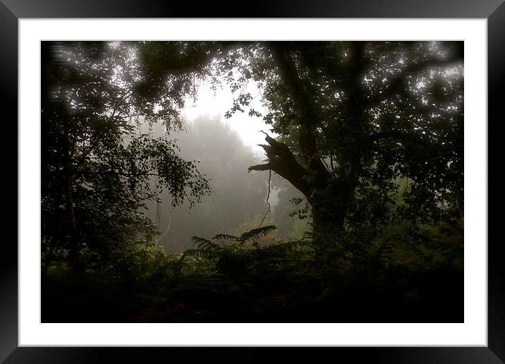 Mist and Gloom Framed Mounted Print by Michelle Orai