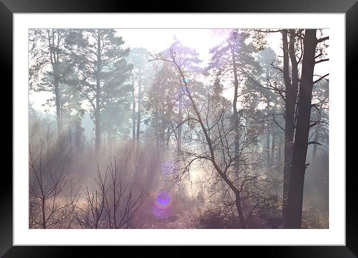 Morning Walk 4 Framed Mounted Print by Michelle Orai
