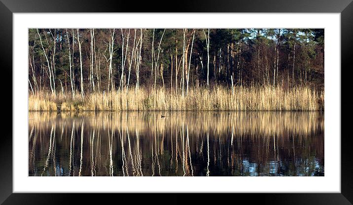 Reflections in Lake Framed Mounted Print by Michelle Orai