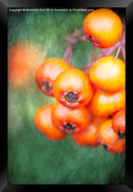 Orange Winter Berries Framed Print by Michelle Orai