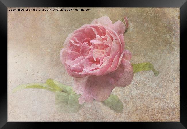 Vintage Rose Framed Print by Michelle Orai