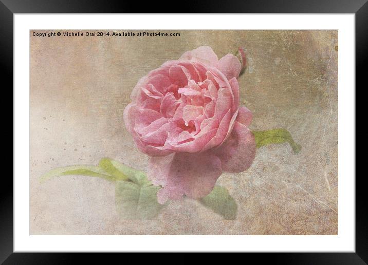 Vintage Rose Framed Mounted Print by Michelle Orai