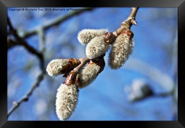 Springtime Optimism Framed Print by Michelle Orai