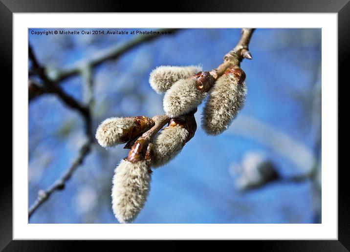 Springtime Optimism Framed Mounted Print by Michelle Orai