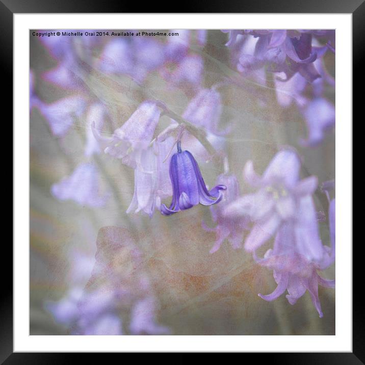 Perfect Bluebell Framed Mounted Print by Michelle Orai