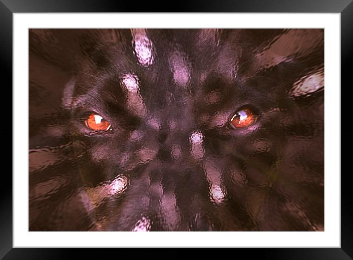 The eyes Framed Mounted Print by Michelle Orai