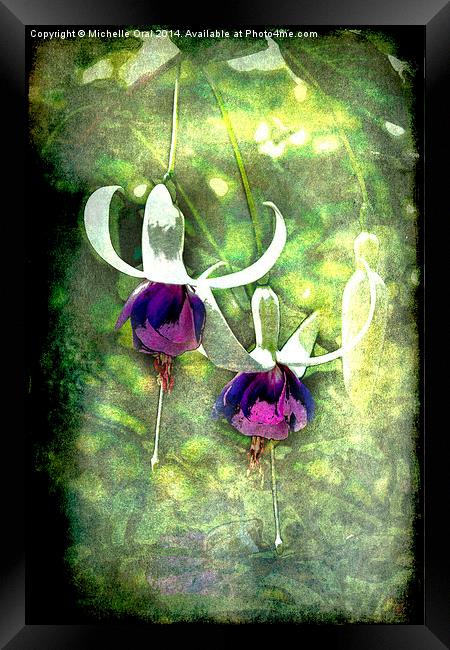  Fuchsias or Fairies Framed Print by Michelle Orai