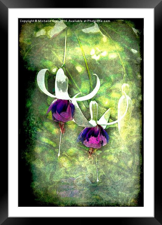  Fuchsias or Fairies Framed Mounted Print by Michelle Orai