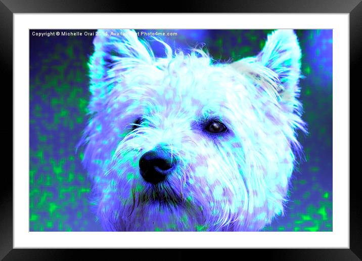  Totally Cool Westie Framed Mounted Print by Michelle Orai
