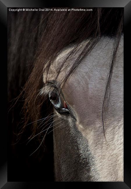  Blue eyed horse Framed Print by Michelle Orai
