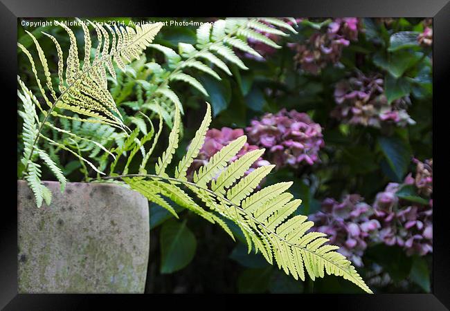  Fern 2 Framed Print by Michelle Orai