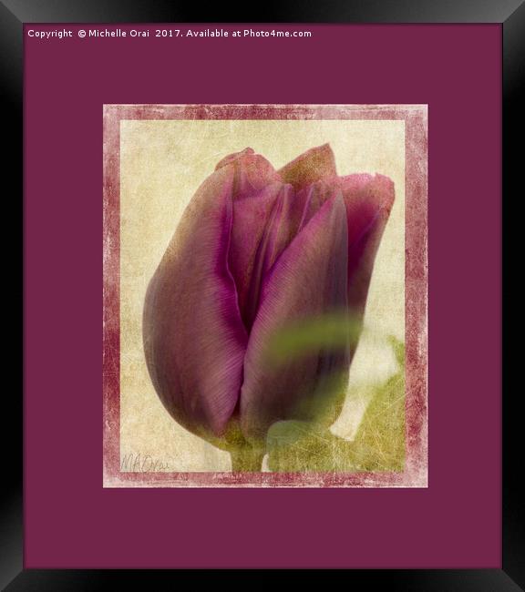 Deep Purple Tulip Framed Print by Michelle Orai
