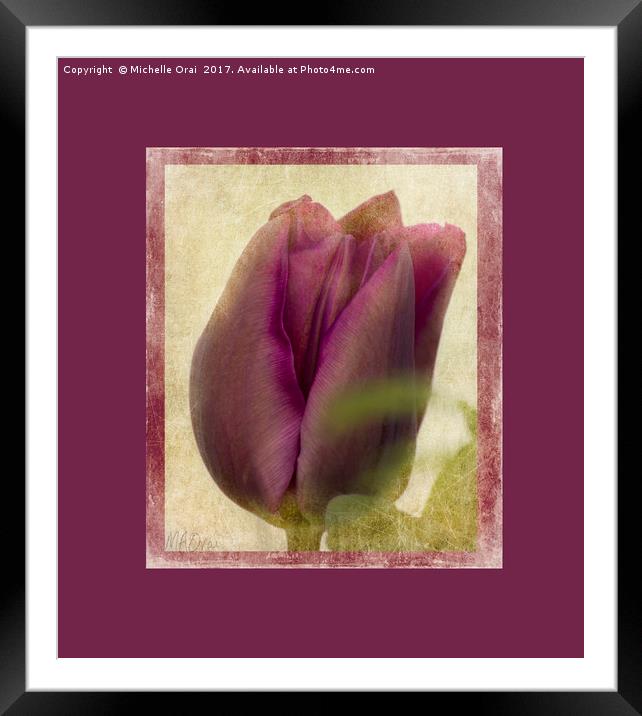 Deep Purple Tulip Framed Mounted Print by Michelle Orai