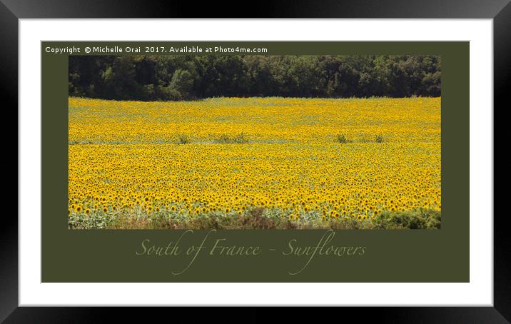 South of France Sunflowers Framed Mounted Print by Michelle Orai