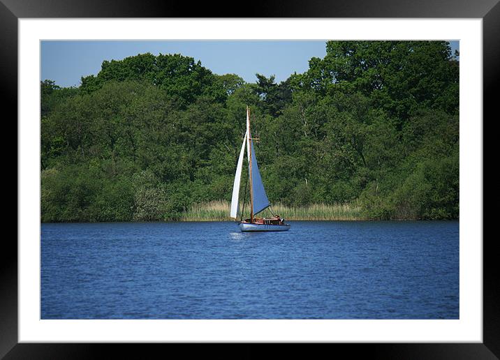 Yachting on the Norfolk broads Framed Mounted Print by dennis brown