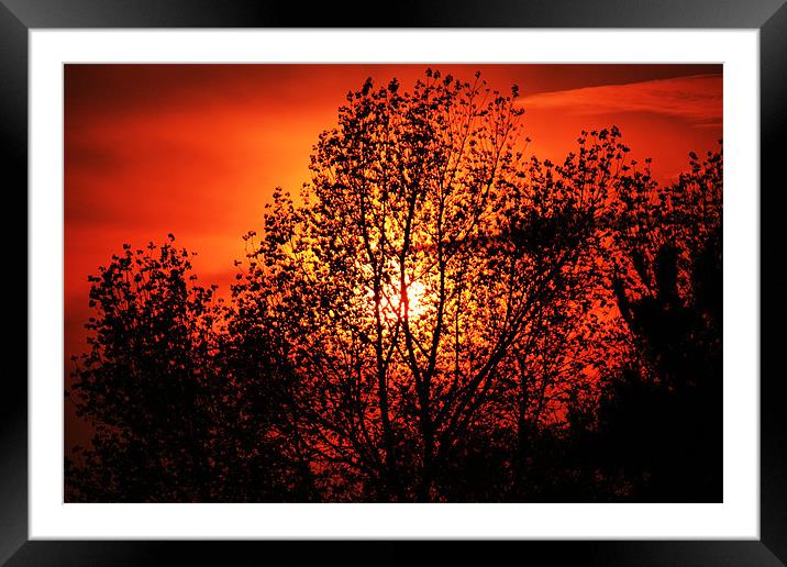 Norfolk summer sunset Framed Mounted Print by dennis brown