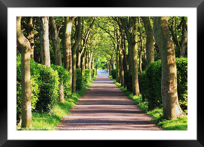 A Walk In The Park Framed Mounted Print by Linda Brown