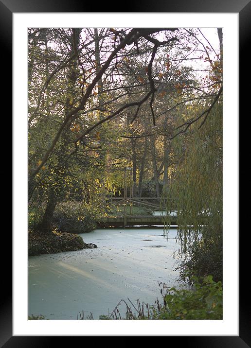 A Walk in an Autumn Park Framed Mounted Print by Linda Brown
