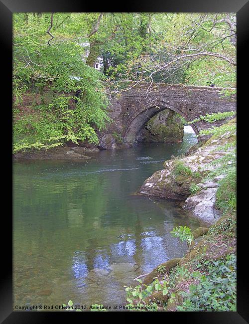 The bridge at Buckland Monachorum, Devon Framed Print by Rod Ohlsson