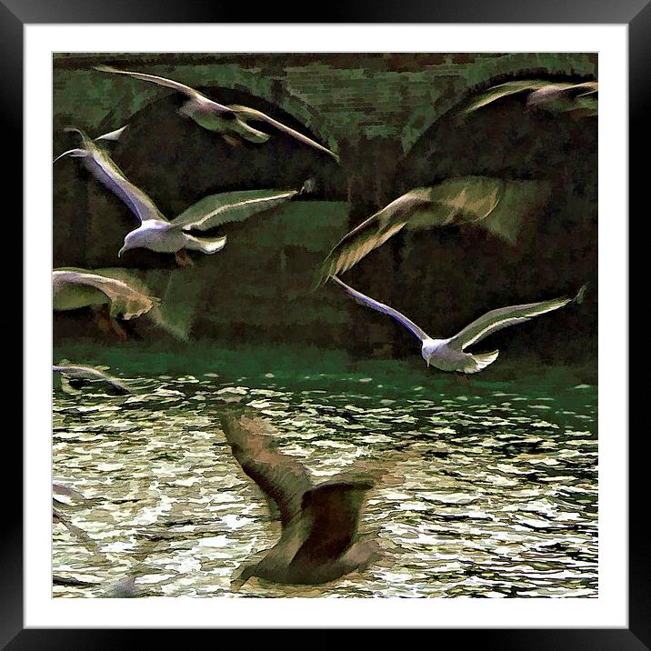 In the zone Framed Mounted Print by Rod Ohlsson