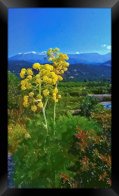 Flower head Mountain peak. Framed Print by Rod Ohlsson