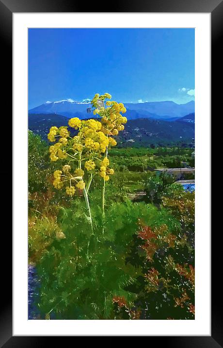 Flower head Mountain peak. Framed Mounted Print by Rod Ohlsson