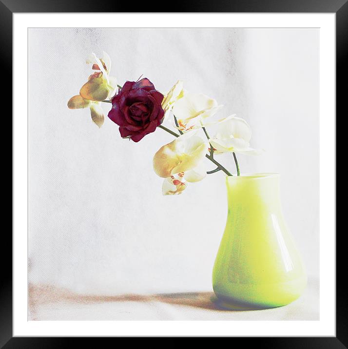 Vase Framed Mounted Print by Loren Robbins