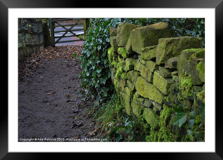 Mossy Pathway Framed Mounted Print by Ade Robbins