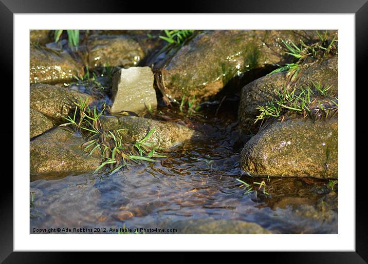 Cobbles N Pebbles Framed Mounted Print by Ade Robbins