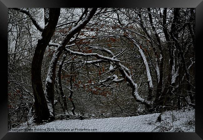 Snowy Vortex Framed Print by Ade Robbins