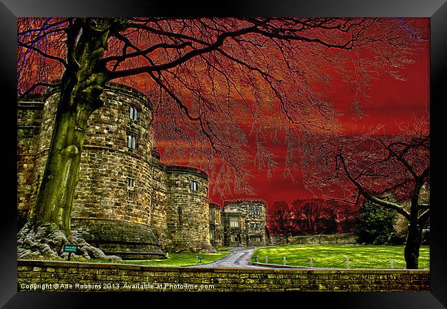 Castle Grounds Framed Print by Ade Robbins