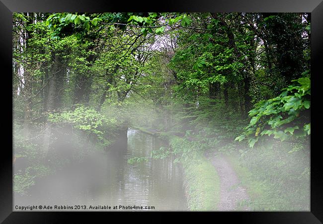 Mist on the Bridle path Framed Print by Ade Robbins