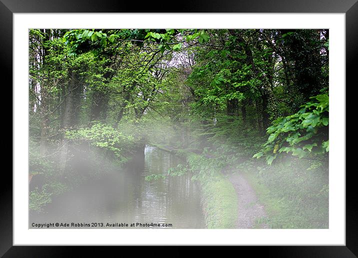 Mist on the Bridle path Framed Mounted Print by Ade Robbins