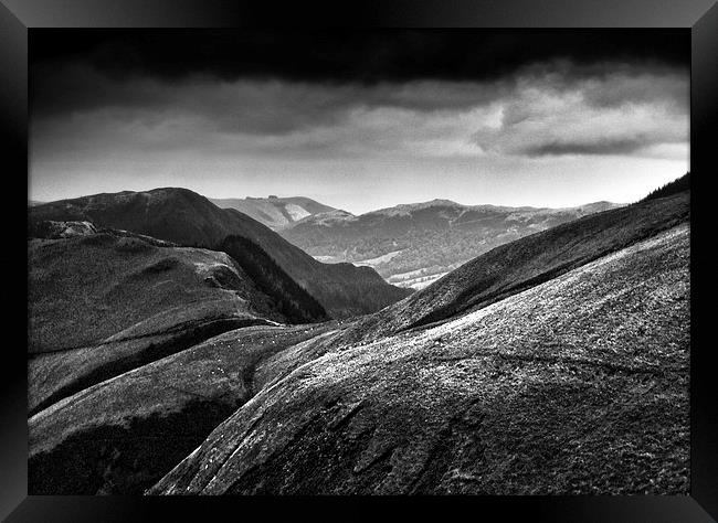 The Edge Framed Print by Oriel Forest