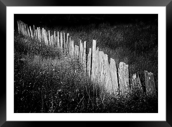 Slate Fence Framed Mounted Print by Oriel Forest