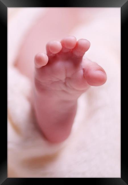 Baby's Foot Framed Print by Philip Dunk