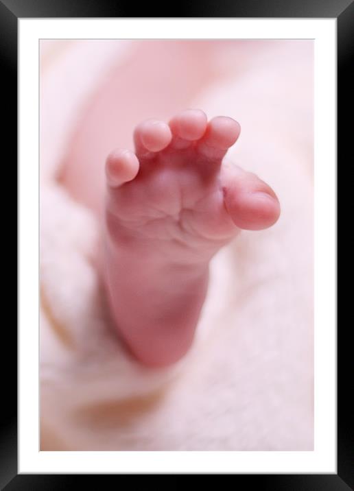 Baby's Foot Framed Mounted Print by Philip Dunk