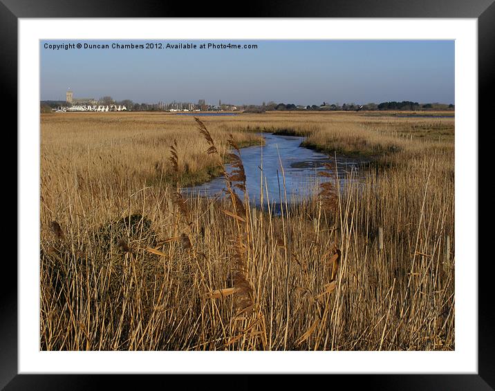 Christchurch Winter Reeds Framed Mounted Print by Duncan Chambers