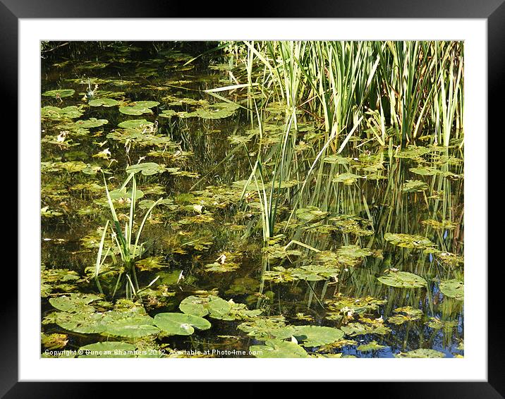 The Old Mill Pond Framed Mounted Print by Duncan Chambers
