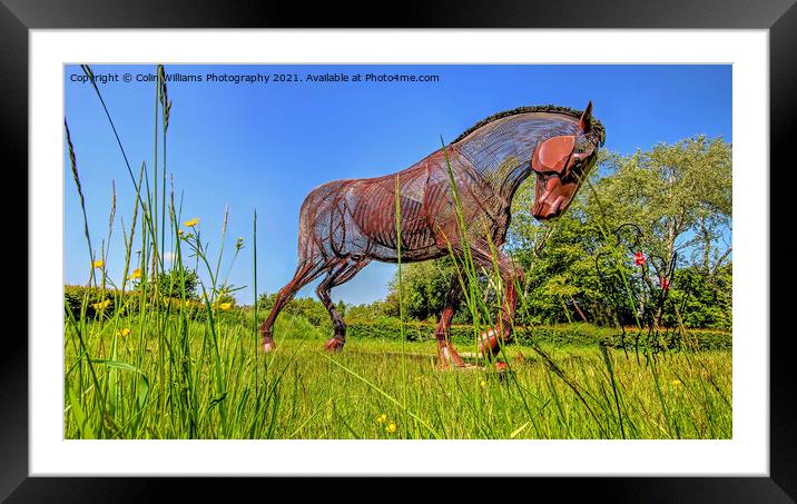 The Featherstone War Horse - 6 Framed Mounted Print by Colin Williams Photography