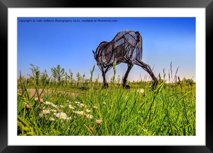 The Featherstone War Horse - 7 Framed Mounted Print by Colin Williams Photography