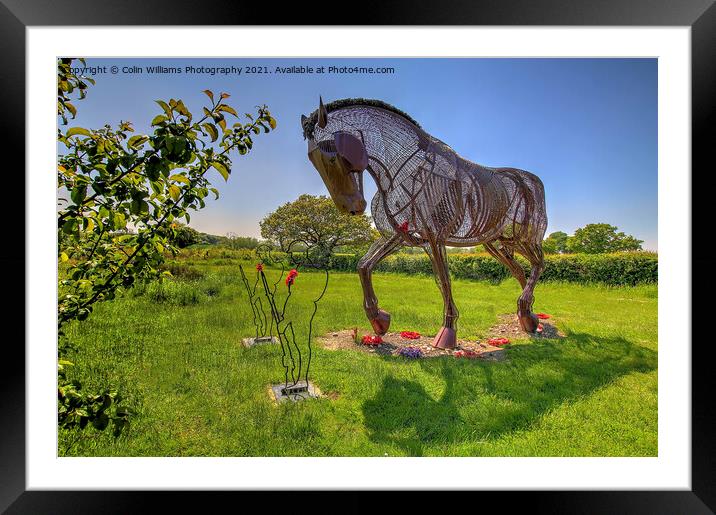 The Featherstone War Horse - 8 Framed Mounted Print by Colin Williams Photography