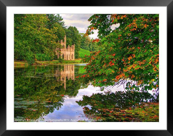 Painshill Park - Autumn Reflections Framed Mounted Print by Colin Williams Photography