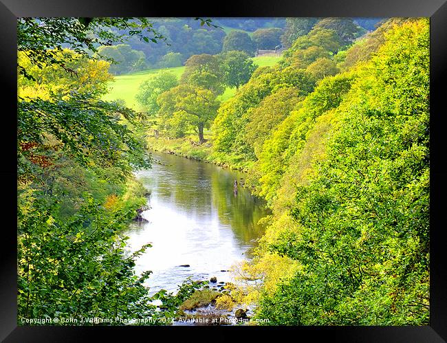 Fly Fishing Nidderdale Framed Print by Colin Williams Photography