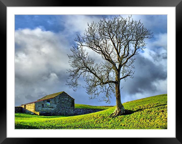 Keld Pasture Framed Mounted Print by Colin Williams Photography